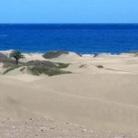 Lorida Duna *